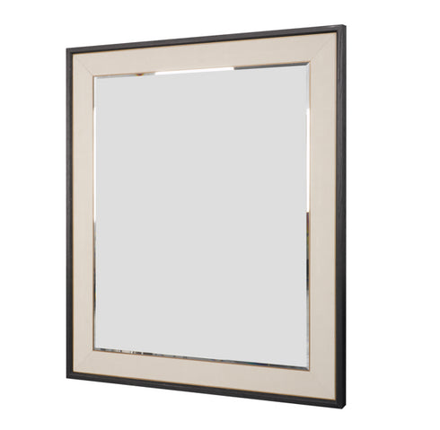 Alexa Mirror